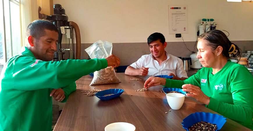 Café de Amazonas competirá con 21 muestras en la IX Taza de la Excelencia 