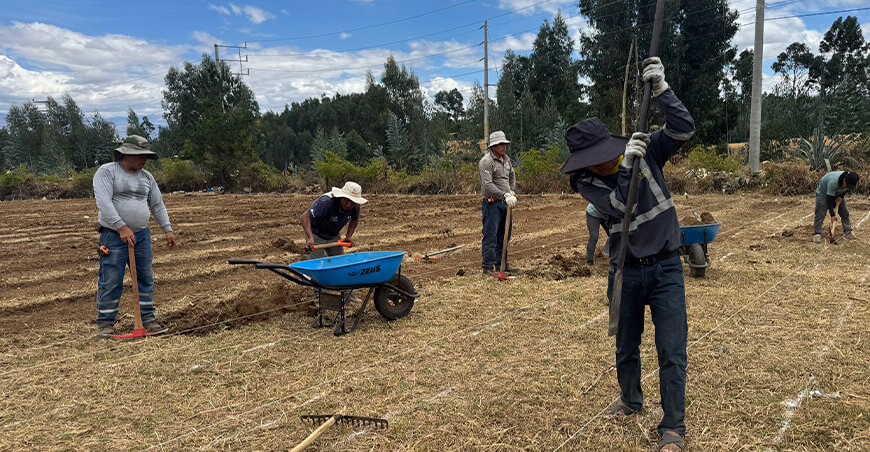 Construyen vivero forestal para producir 500 000 plantones en Cajabamba