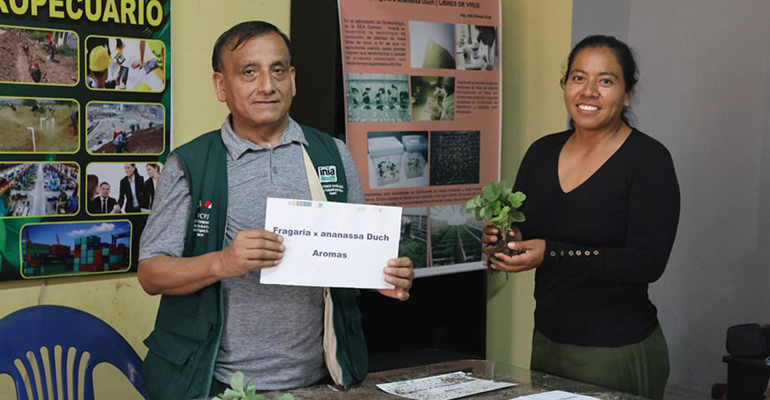 CultiVida proyecta un millón de capacitaciones para agricultores al 2030 Perú