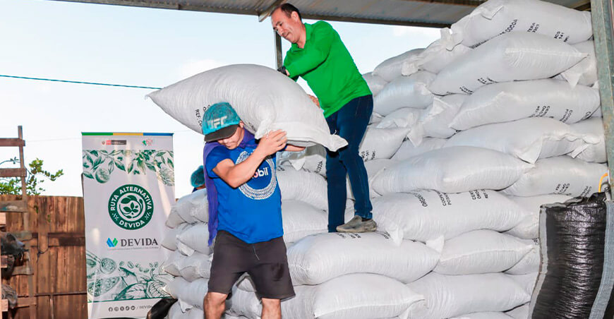 Cooperativa Agroecológica Cacaotera Poshini Vraem exportó cacao a Italia