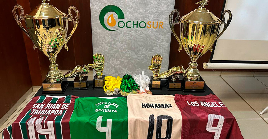 Copa Ocho Sur Perú