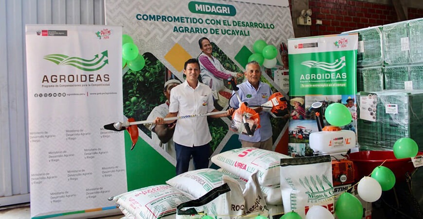 Agroideas y Devida fortalecen producción plátanos de la Asociación Agroindustrias El Progreso (AAIPRO), en Ucayali Perú