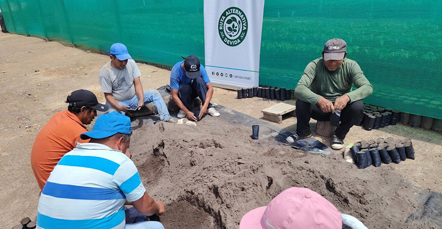 Devida impulsa la agroforestería en el Vraem con producción de plantones maderables