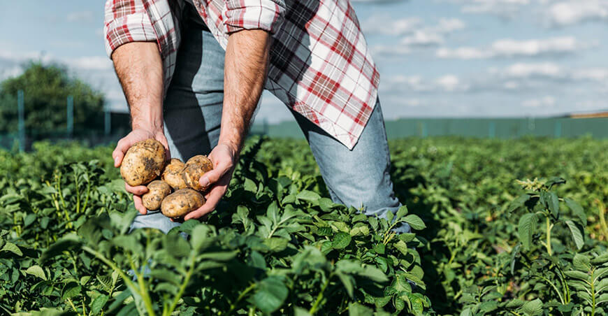 Día Mundial de la Agricultura