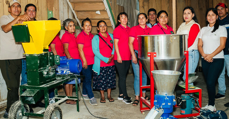 Impulsan uso de alimento balanceado en la crianza de cuyes en Nueva Cajamarca San Martín Perú