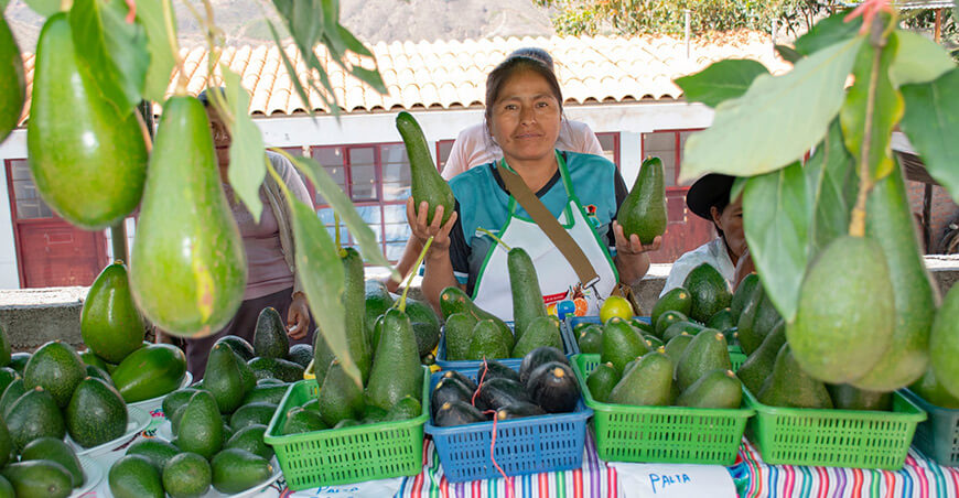 Feria Agropecuaria, Agroindustrial, Artesanal, Gastronómica y Folclórica – Chorrobamba productora palta Ayacucho