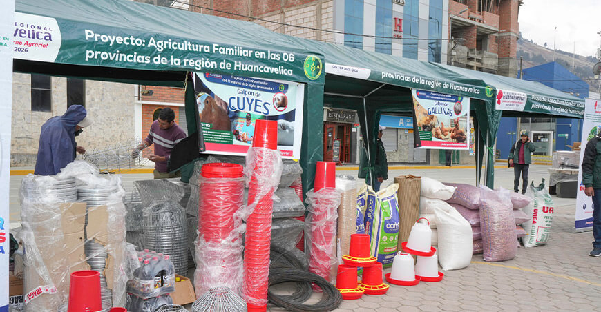 Huancavelica impulsa la agricultura familiar con apoyo a más de 2000 productores en Tayacaja
