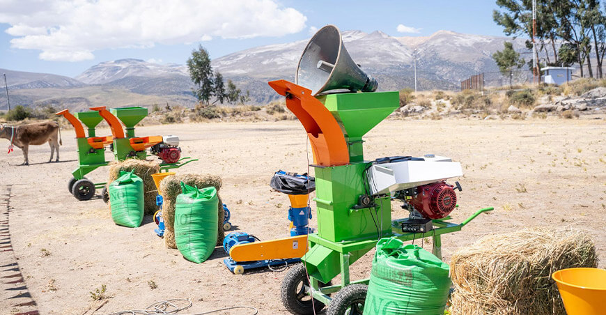 Fortalecen cadena productiva de gallinas, vacunos y palta con entrega de bienes a asociaciones de Puquina Moquegua Perú