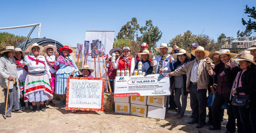 Fortalecen cadena productiva de gallinas, vacunos y palta con entrega de bienes a asociaciones de Puquina Moquegua Perú
