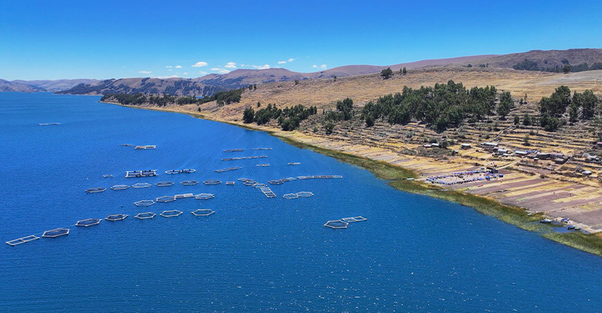 Lanzan proyecto para impulsar el cultivo de pejerrey en Puno