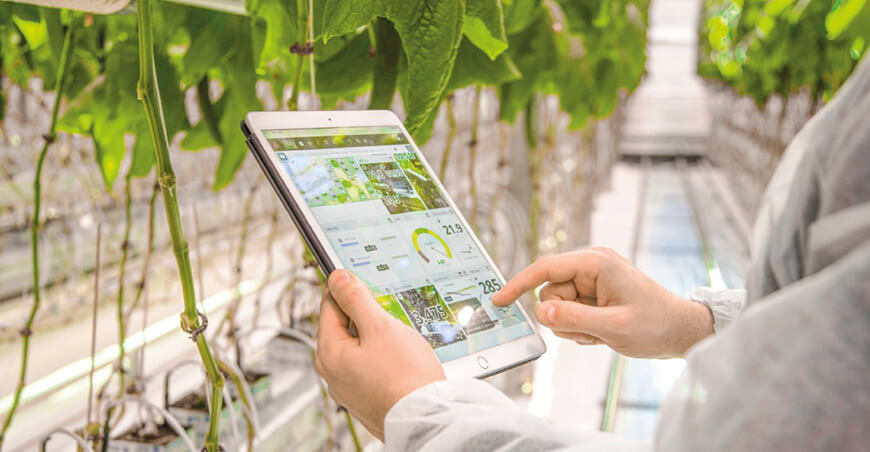 Hunter Agro Perú Conectando innovación, eficiencia y sostenibilidad en la agricultura