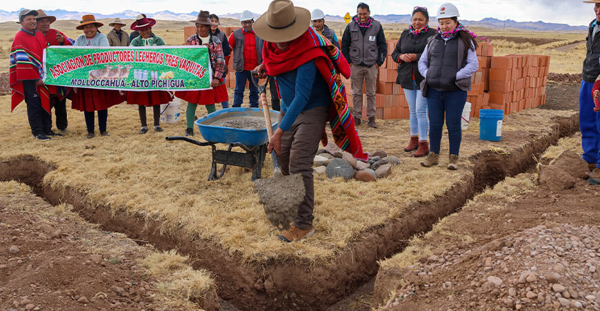 fortalecerán producción de ganado vacuno lechero en Alto Pichigua Procompite KANA Espinar Cusco