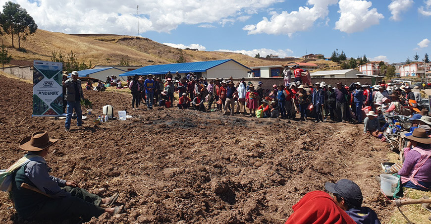 INIA transfirió tecnologías agrarias para mejorar la calidad de papa nativa orgánica en Huanoquite Cusco Perú