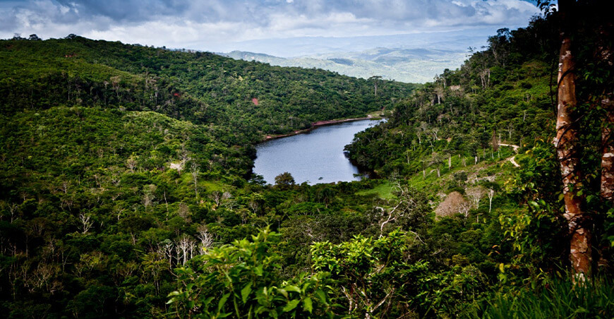 Serfor logra inscripción de 8 ecosistemas frágiles en Sunarp y fortalece la protección de áreas de alto valor ambiental Perú