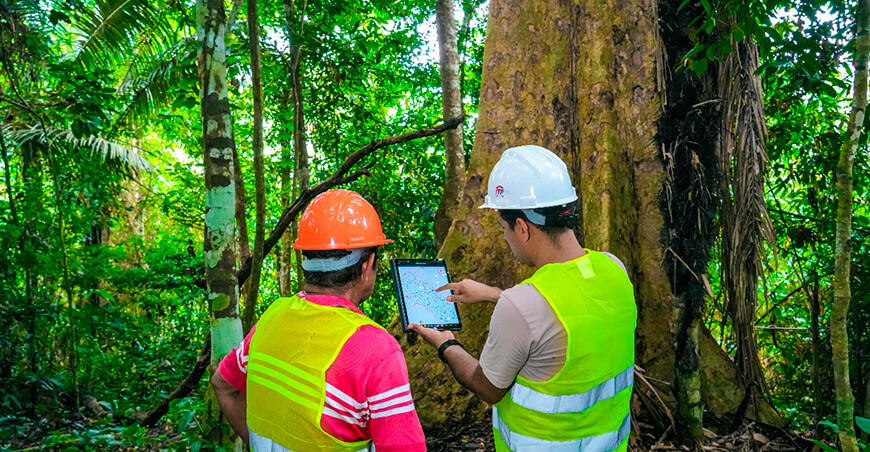 Serfor e ITP firmaron convenio para fortalecer el sector forestal en siete regiones