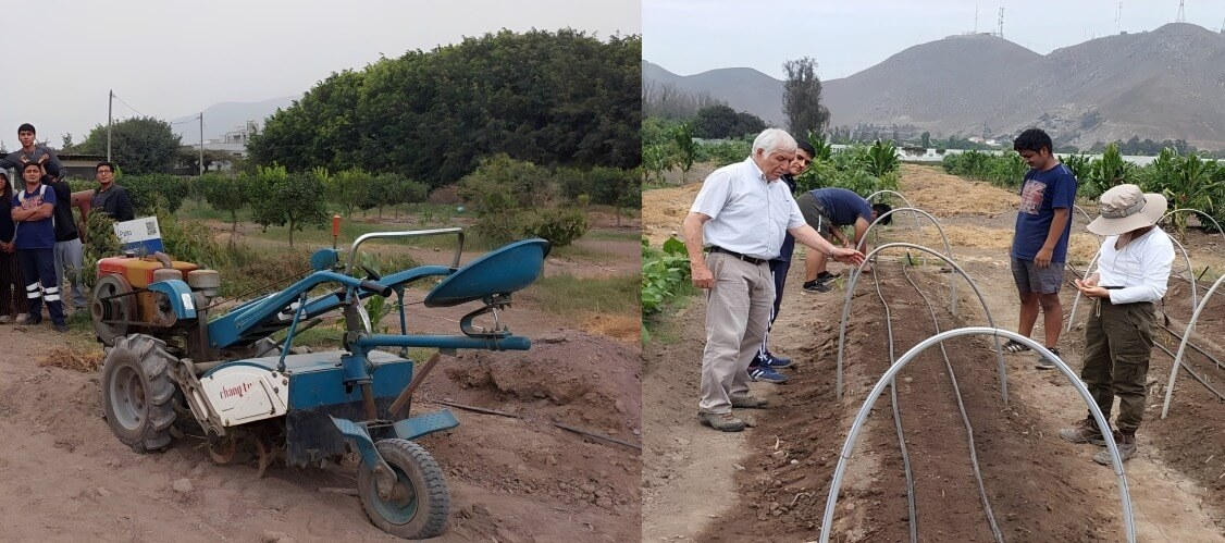 Mula mecánica y cultivos en microtúneles