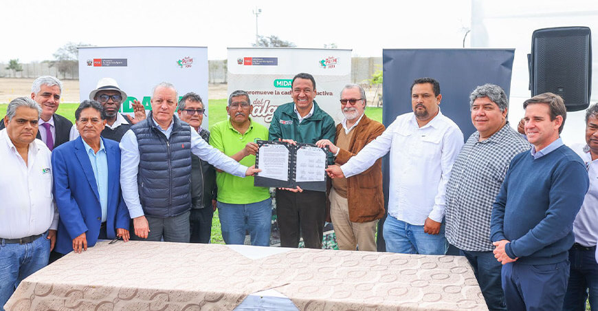 Sector público y privado, junto a productores, relanzarán el algodón peruano