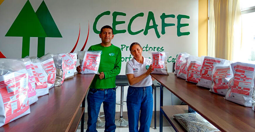 Café de Amazonas competirá con 21 muestras en la IX Taza de la Excelencia