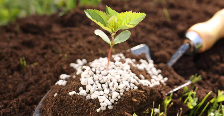 Agricultura y fertilizantes Perú