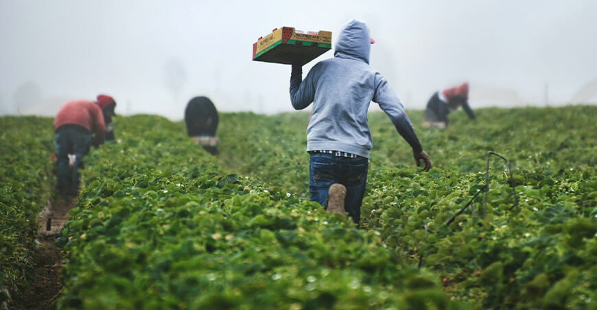 Perú agroexportaciones peruanas