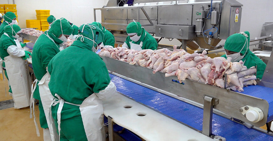 Senasa acelera gestiones para abrir nuevos mercados internacionales a la carne de ave peruana