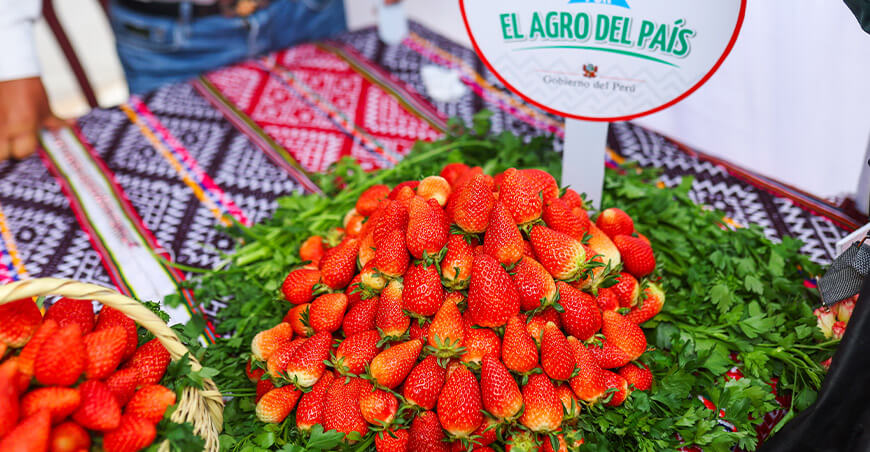 Perú logra acceso para exportar fresas a Brasil