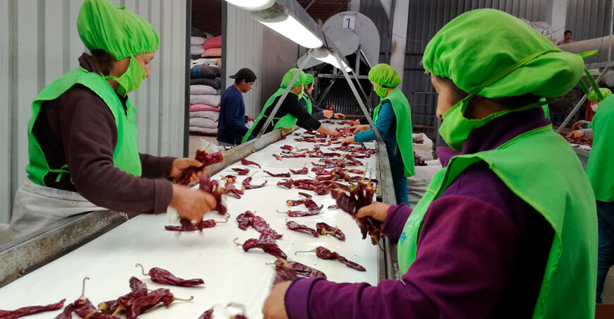Perú exportación páprika peruana