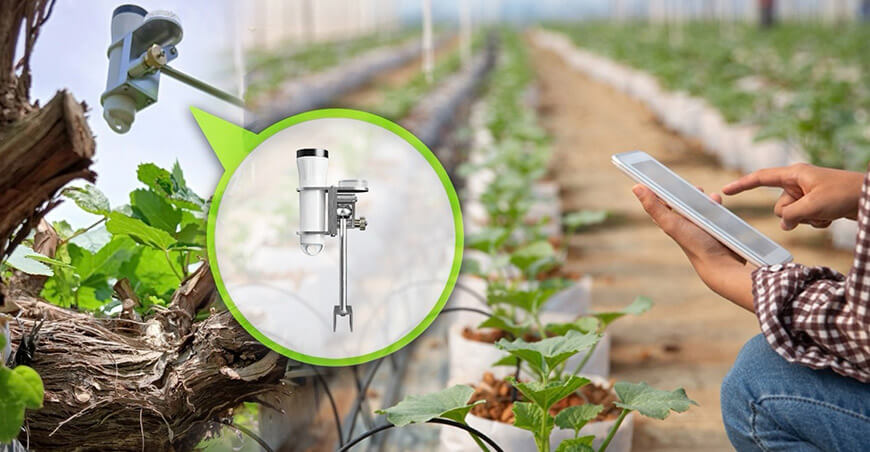 Hunter Agro Perú Conectando innovación, eficiencia y sostenibilidad en la agricultura