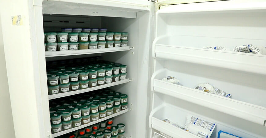 Proyecto del IIAP descubre potencial farmacológico en plantas amazónicas Perú