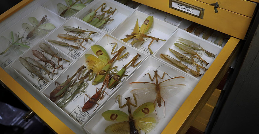 UNALM inauguró moderna sede del Museo de Entomología Klaus Raven Büller
