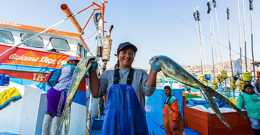 pescadoras artesanales Perú