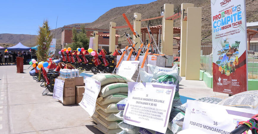Fortalecen cadena productiva de orégano en Cairani Tacna Perú