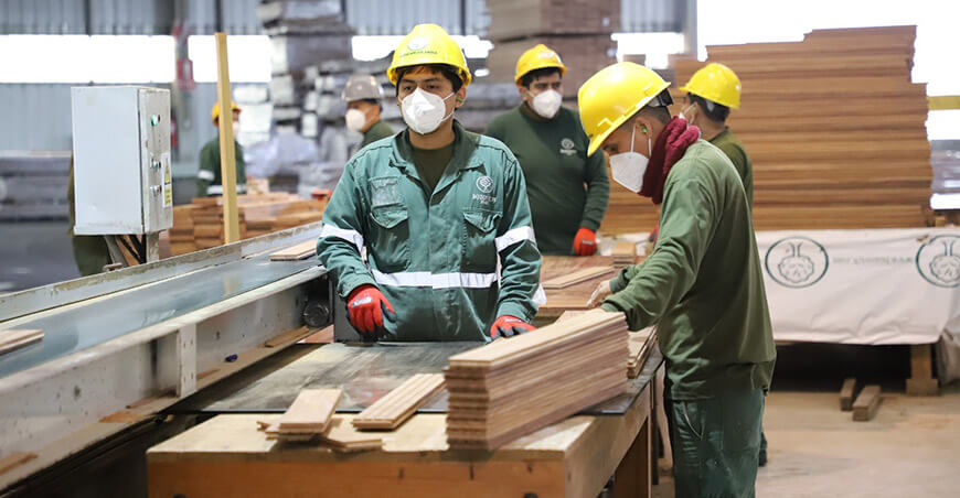Maderera Bozovich trasladará sus operaciones a Madre de Dios producción maderable forestal Perú