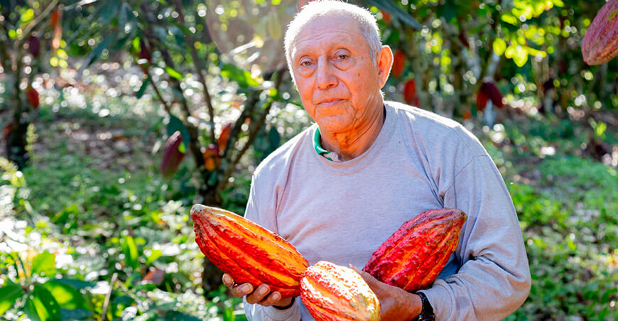 productor de cultivo de cacao Perú