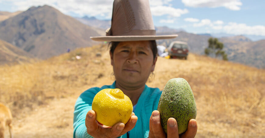 productora de frutas Carhuaz Áncash 
