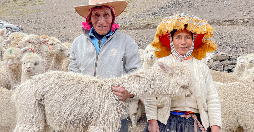 alpaqueros alpacas Cusco Perú