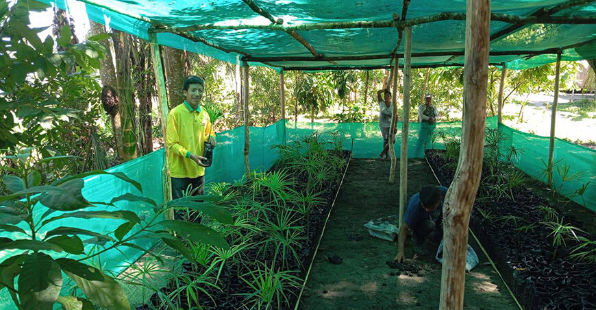 Proyecto Binacional Río Putumayo proyecto forestal Loreto