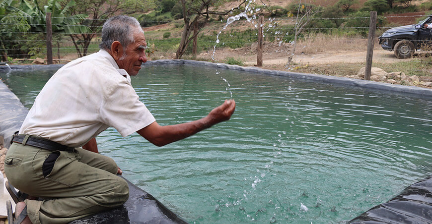 reservorios impulsan la producción frutícola en Contumazá Cajamarca