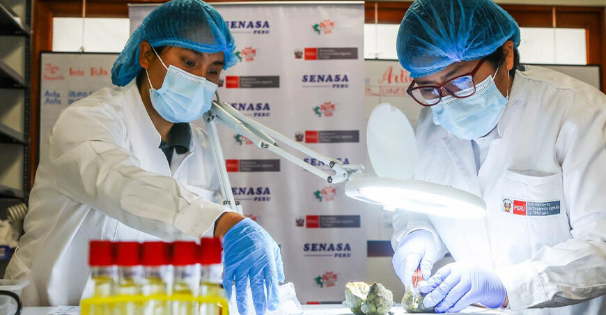 Inauguraron dos nuevos locales del Senasa para fortalecer la sanidad agraria en Cusco