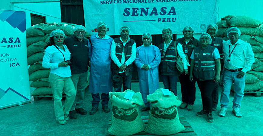 Perú envía su primer cargamento de pecanas a China