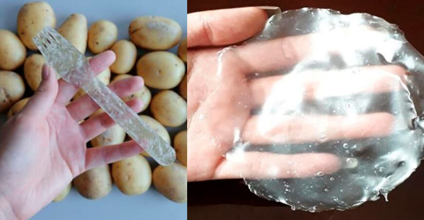 Impulsan investigación sobre biopolímeros a base de almidón de tubérculos y granos UNTRM Perú
