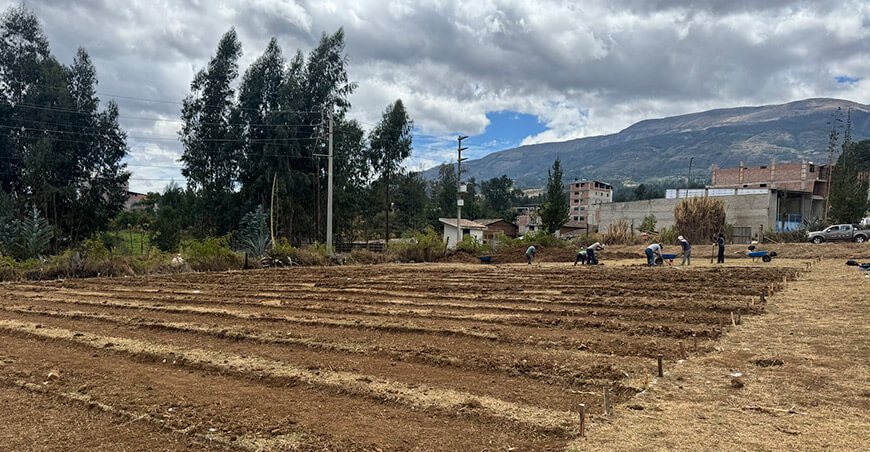 Construyen vivero forestal para producir 500 000 plantones en Cajabamba