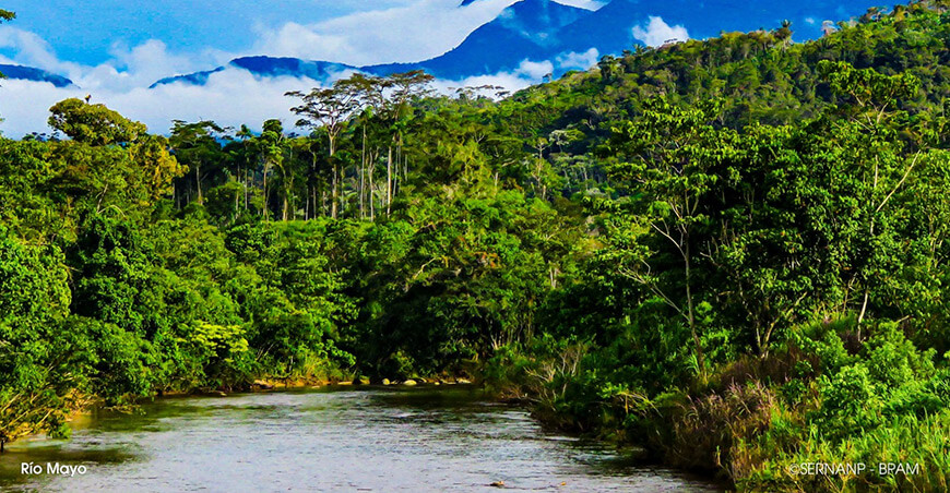 Día de las Áreas Naturales Protegidas el Perú celebra a sus guardaparques, quienes hacen posible la conservación