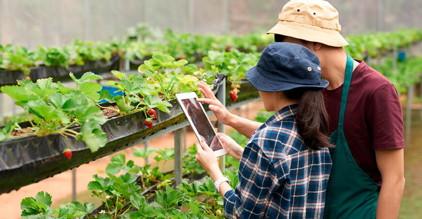 Oracle lanza Government Data Intelligence para Agricultura