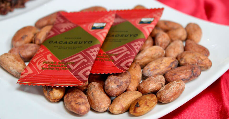 granos de cacao peruanos