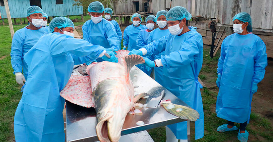Comunidades de Yaguas fortalecieron sus capacidades en pesca artesanal en Loreto Perú