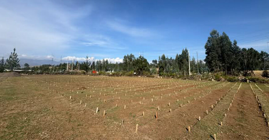 construcción viveros Cajamarca