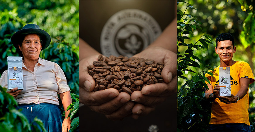 Cooperativa Agraria Yuraq Yaku de Ayacucho exportó por primera vez café de especialidad a Estados Unidos