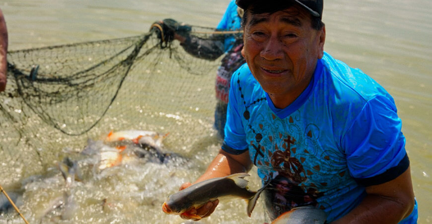 Productores de Yurimaguas mejoran la crianza de paco y apuestan por una producción más sostenible ITP Perú