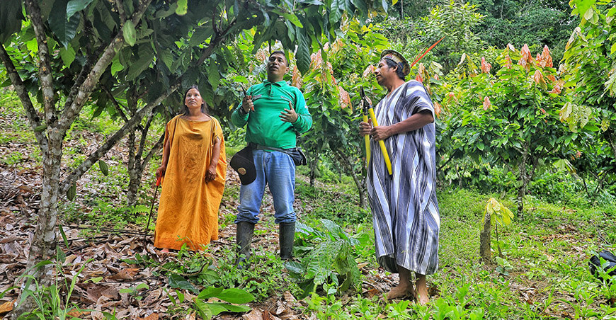 Devida capacita productores de cacao comunidades nativas Vraem Perú